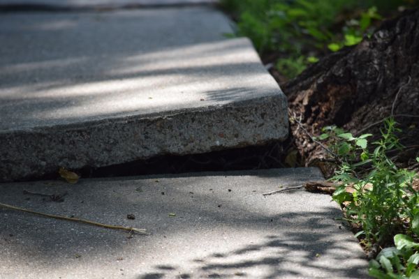 Cost of Sidewalk Leveling in New Lenox